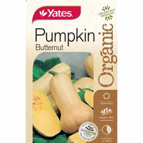 Organic Pumpkin Butternut Organic Seeds - Yates