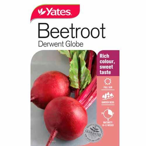 Beetroot Derwent Globe Seeds - Yates