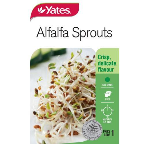 Alfalfa Seeds - Yates