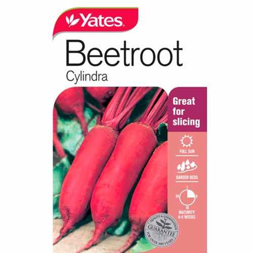 Beetroot Cylindra Seeds - Yates