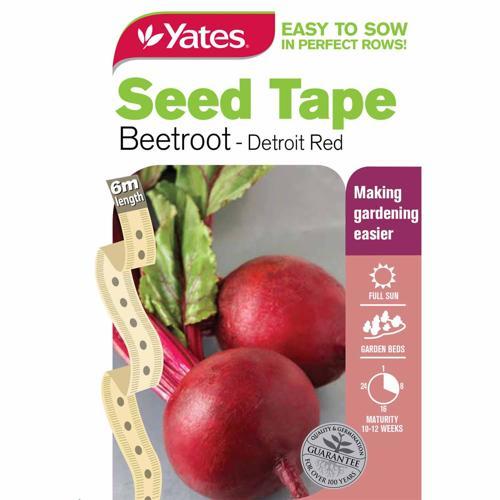 Seed Tape Beetroot 6m Detroit Red - Yates
