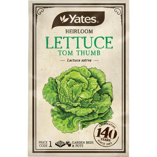 Yates Heirloom Seeds Lettuce Tom Thumb