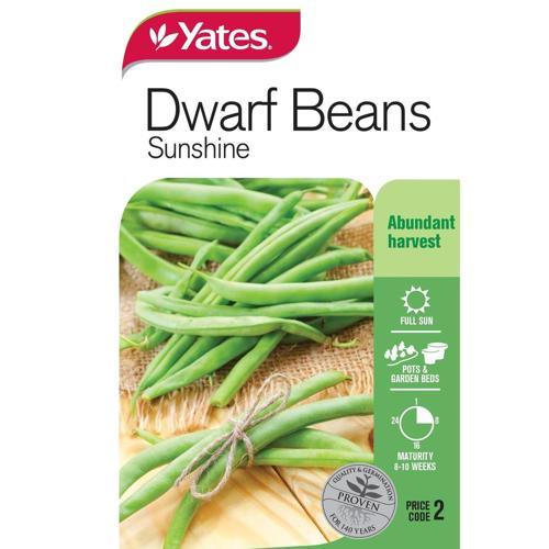 Yates Dwarf Beans Sunshine Seeds