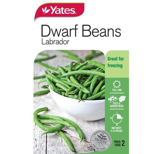 Yates Dwarf Beans Labrador Seeds