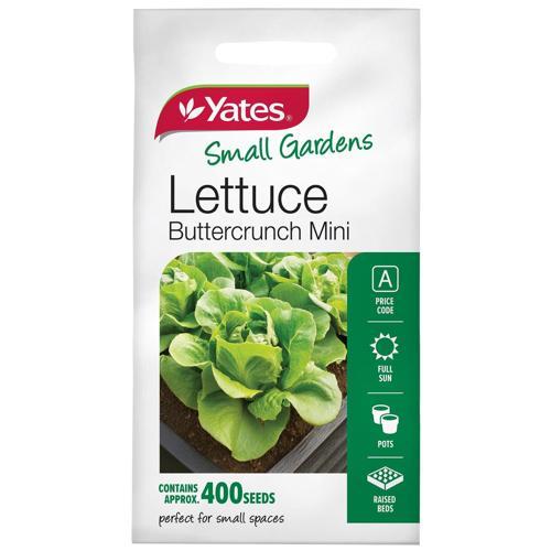 Yates Seeds Lettuce Buttercrunch Mini