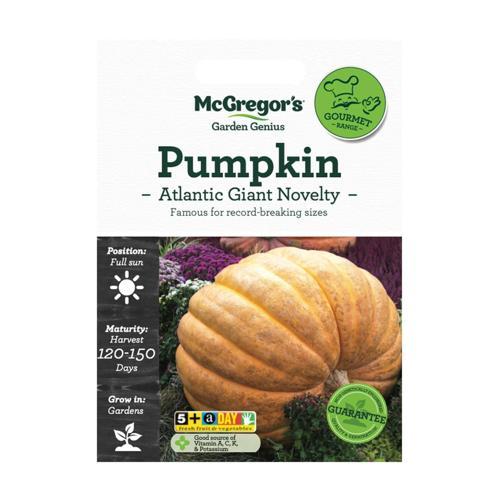 McGregor's Pumpkin Atlantc Giant Novelty Seed