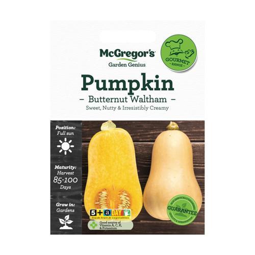 McGregor's Pumpkin Butternt Waltham Seeds