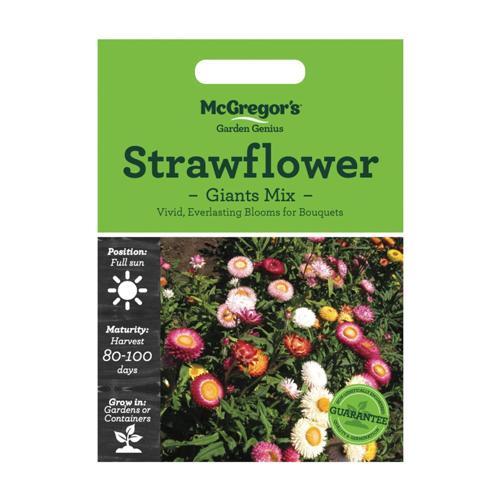 McGregor's Strawflower Giants Mix Seeds
