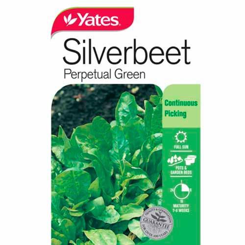 Silverbeet 'Perpetual Green' Seeds - Yates