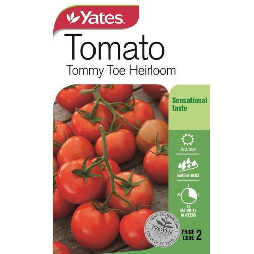 Tomato Tommy Toe Seeds - Yates