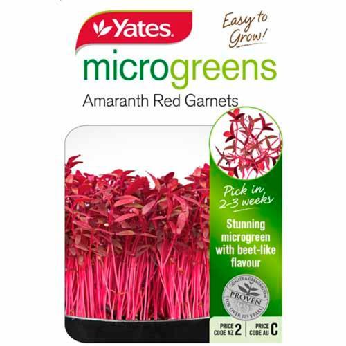 Seed Amaranth Red Garnets Microgreens - Yates