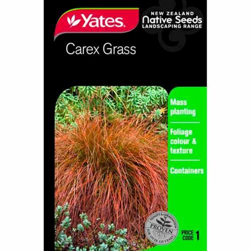 Carex Grass Native Seeds - Yates