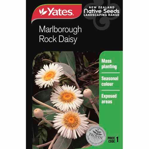 Rock Daisy Marlborough Native Seeds - Yates