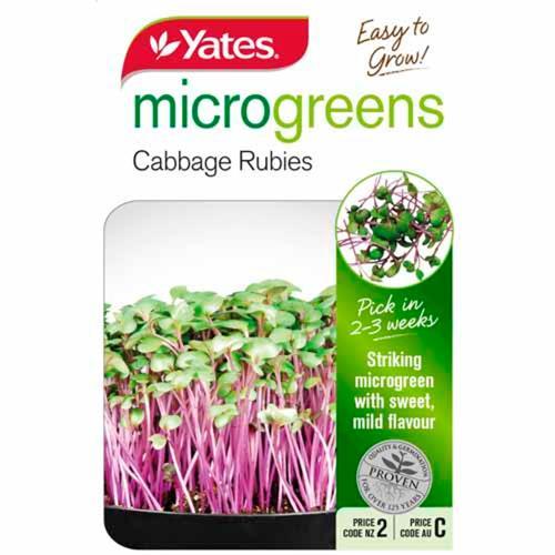 Microgreens Cabbage Rubies Seeds - Yates