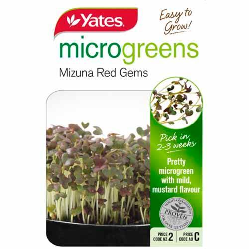 Seed Mizuna Red Gems Microgreens - Yates