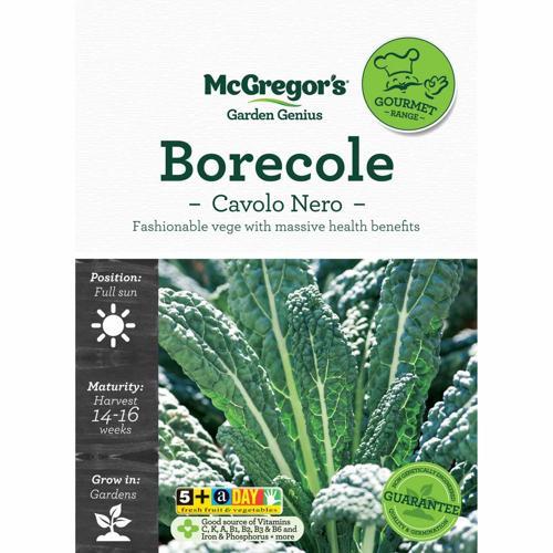 McGregor's Borecole Seeds