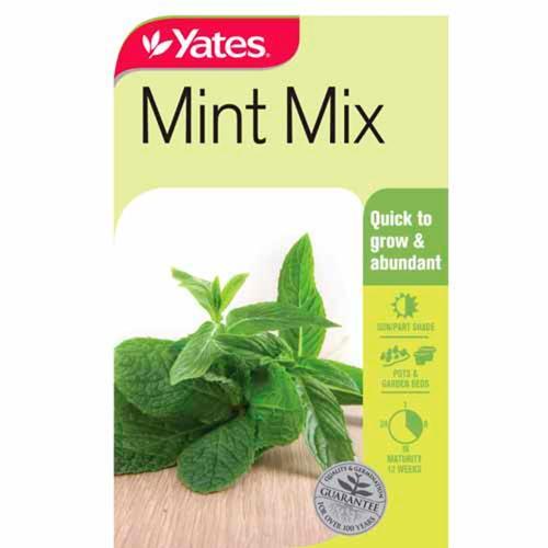 Mint Mix Seeds - Yates