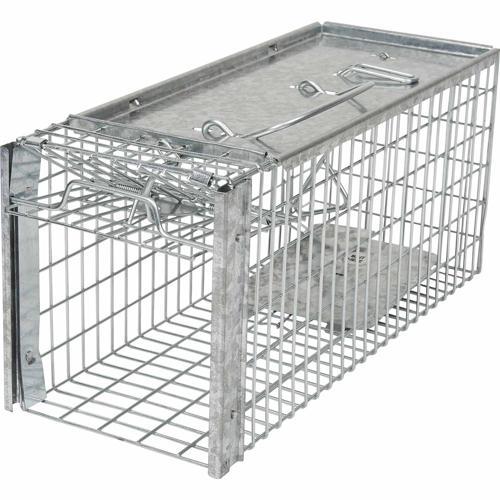 Rat Cage Trap - Times Up