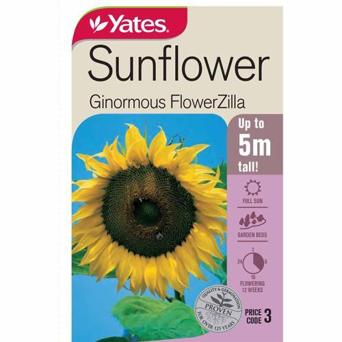 Flower Sunflower 'Ginormous FlowerZilla' Seeds - Yates
