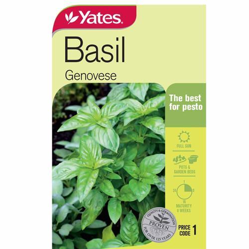 Basil 'Genovese' Seeds - Yates