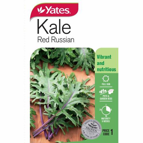 Kale 'Red Russian' Seeds - Yates