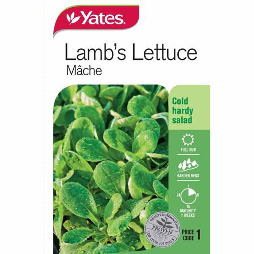 Lambs Lettuce (Mâche) Seeds - Yates