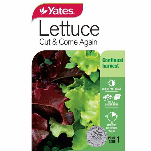 Lettuce 'Cut & Come Again' Seeds - Yates