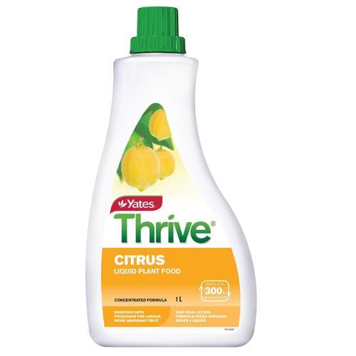 Thrive Citrus Liquid Plant Food 1L - Yates