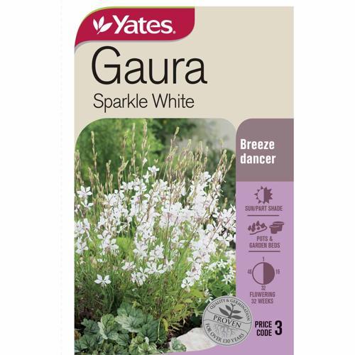 Gaura Sparkle White Seeds - Yates
