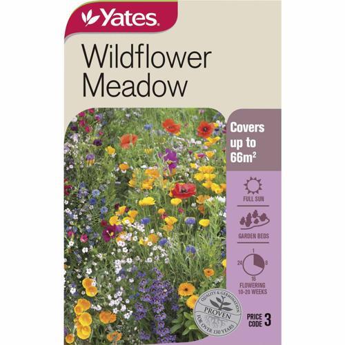 Wildflower Meadow Mix Seeds - Yates