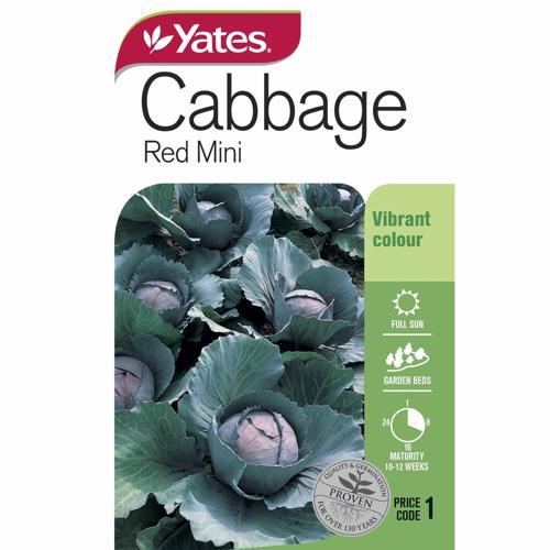 Cabbage Red Mini Seeds - Yates
