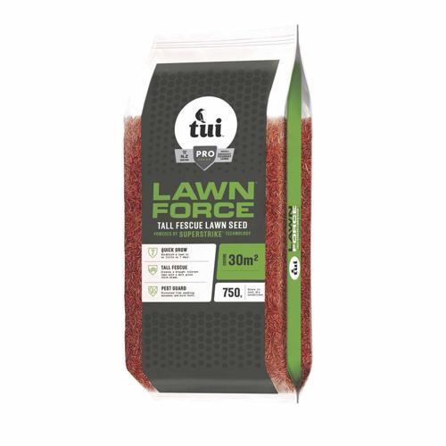 Lawn Force Superstrike Tall Fescue Lawn Seed 750g - Tui