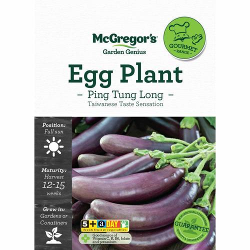 McGregor's Egg Plant Ping Tung Long Seeds