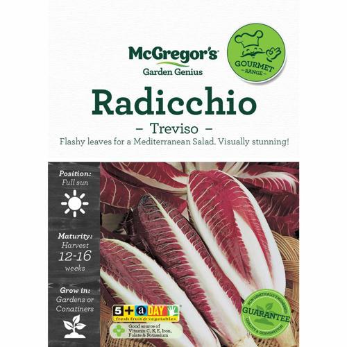 McGregor's Radicchio Treviso Seeds