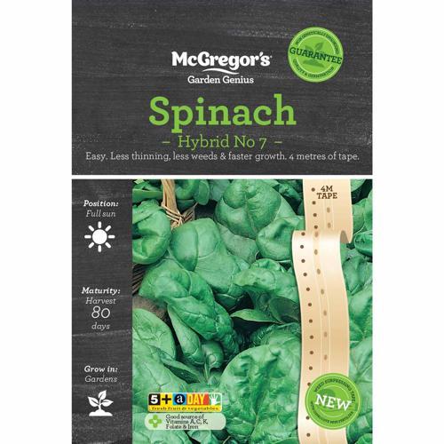 McGregor's Spinach Hybrid Seeds