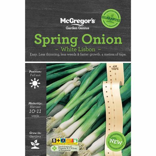 McGregor's Spring Onion Lisbon Seeds