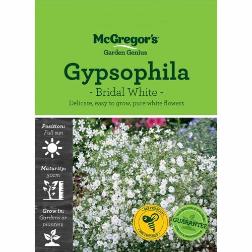 McGregor's Gypsophila Bridal White Seeds