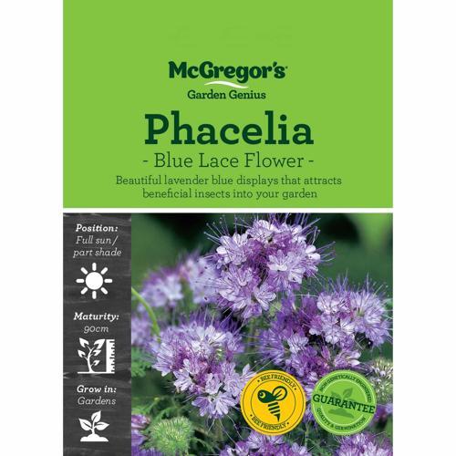 McGregor's Phacelia Blue Lace Flower Seeds