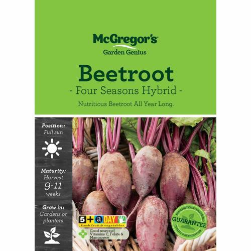 McGregor's Beetroot Four Seasons Hybrid Seeds