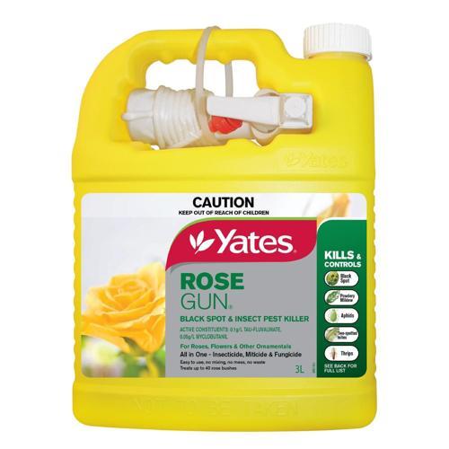 Rose And Ornamental Gun 3L - Yates