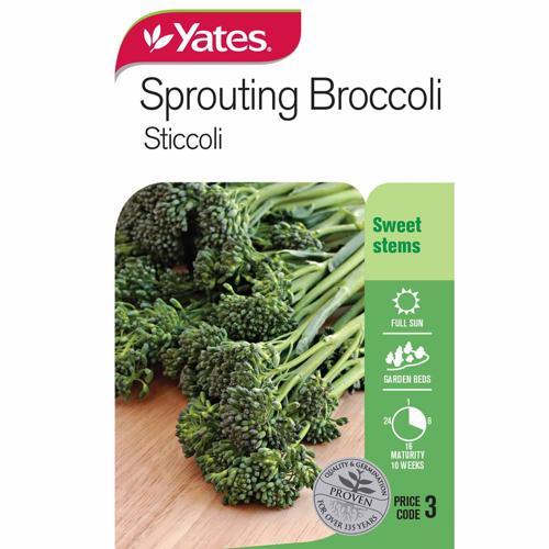 Sprouting Broccoli 'Sticcoli' Seeds - Yates