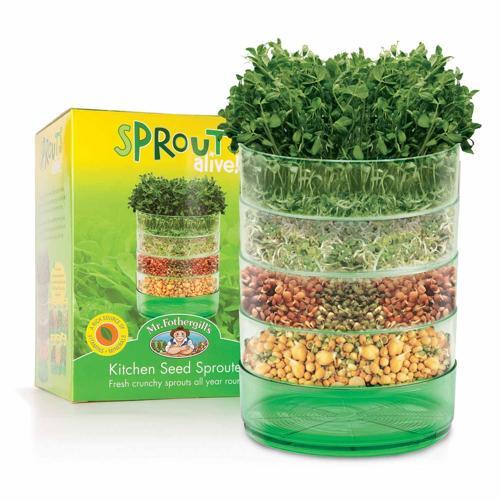 Fothergills Kitchen Seed Sprouter H:21cm, W:15.5cm, D:15.5cm