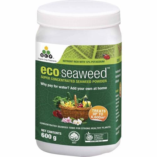 Eco Eco Seaweed Tonic 600g - OCP