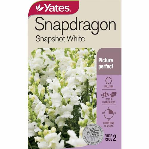 Snapdragon 'Snapshot White' White Seeds - Yates