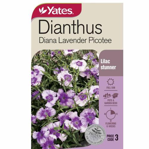 Dianthus Diana Picotee Seeds - Yates