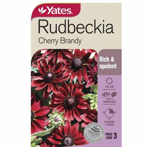 Rudbeckia Cherry Brandy Seed - Yates