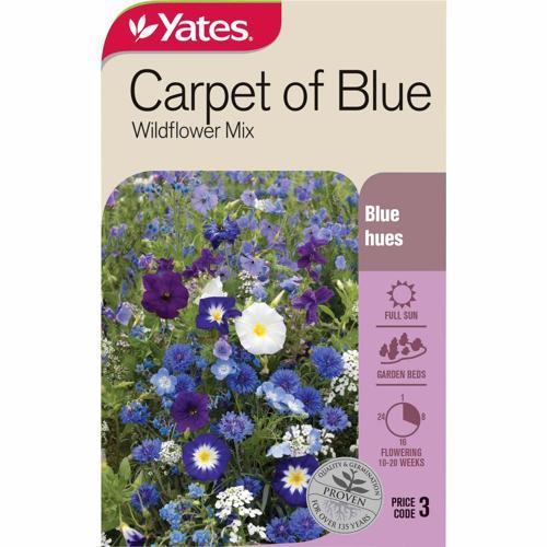 Wildflower Carpet Of Blue Mix Seeds - Yates