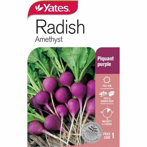 Radish 'Amethyst' Purple Seeds - Yates