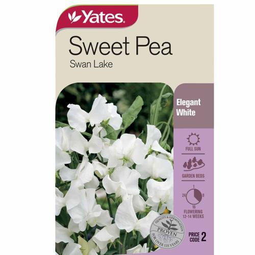 Sweetpea Swan Lake Seed White - Yates