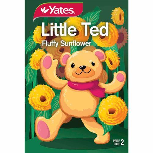 Yates Kids Seeds Little Ted Sunflowers